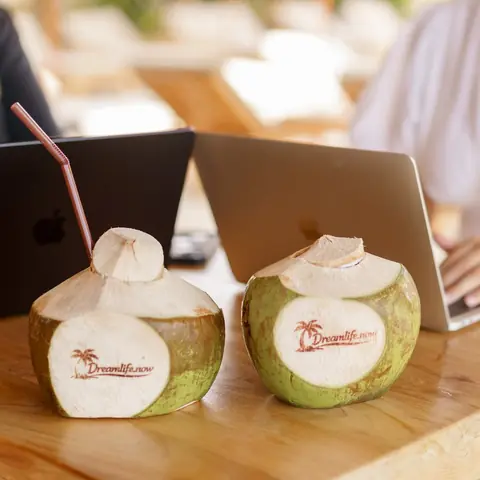 Zwei Laptops und zwei Kokosnüsse mit Dreamlife-Logo auf einem Tisch am Pool